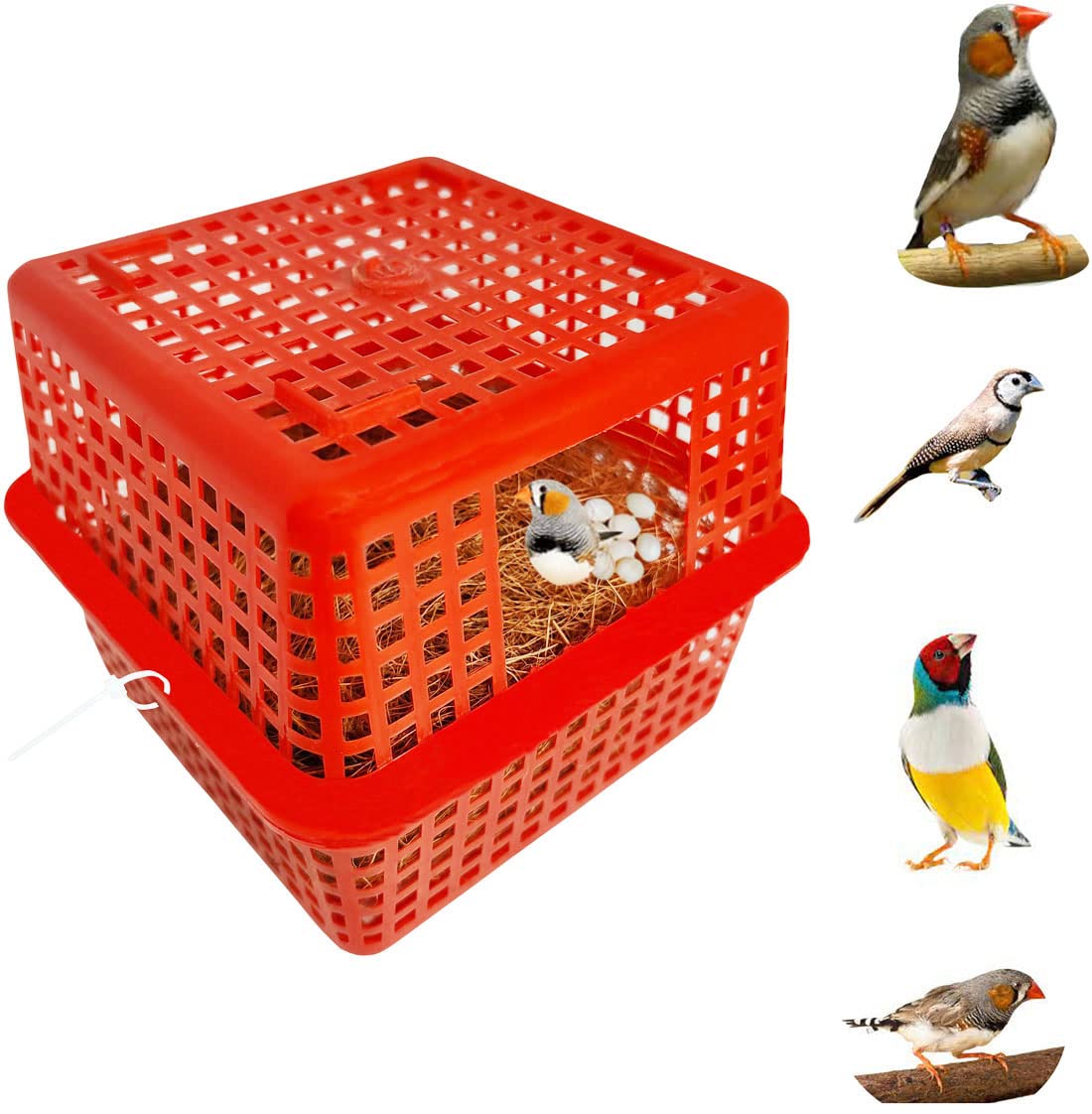 Sky Birds Breeding Box Finches Nest Box Basket,House Suitable for Finches/Sparrow,Small Birds (Pack of 1) (B0BV1YNLV4) Amazon Price History, Amazon Price Tracker