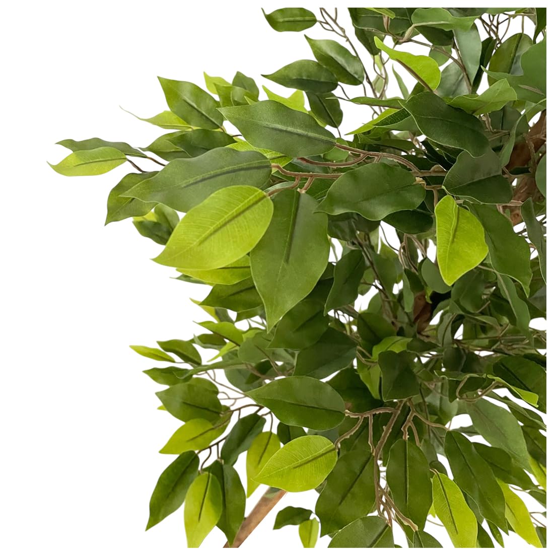 Acomoda Textil – Planta Artificial Decorativa con Macetero Elegante para Hogar, Jardín, Comercio y Oficina. Planta Sintética Resistente para Interior y Exterior Sin Cuidados.(Ficus,180 cm)