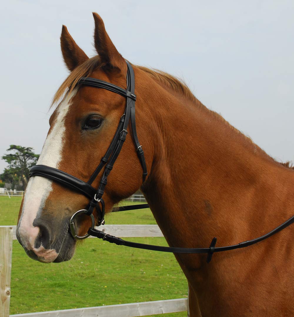 Snowhill Heritage English Leather Comfort Bridle No Flash, in Black or Havana Cob, Black