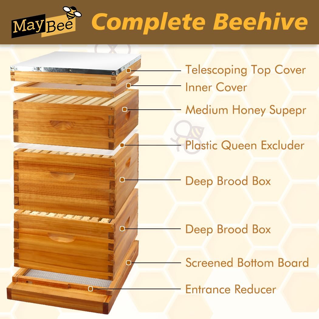 MayBee 10 Frame Screened Bottom Board Beehive Dipped in 100% Beeswax, Bee Hives Kit Includes 2 Deep Boxes & 1 Medium Box with Beehive Frames and Heavy Wax Coated Foundations.Preferred for Summer. - Image 5