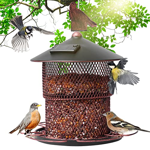 Best feeders for blue jays Reviews and Buying Guide 2023 Maine Innkeepers Association