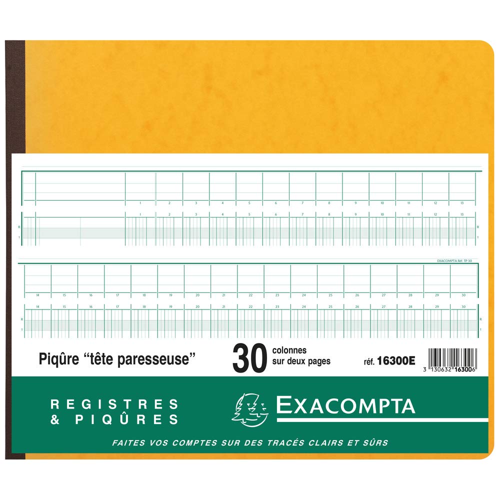 EXACOMPTA Piqûre tête paresseuse 31 lignes 30 colonnes sur 2 pages 80p