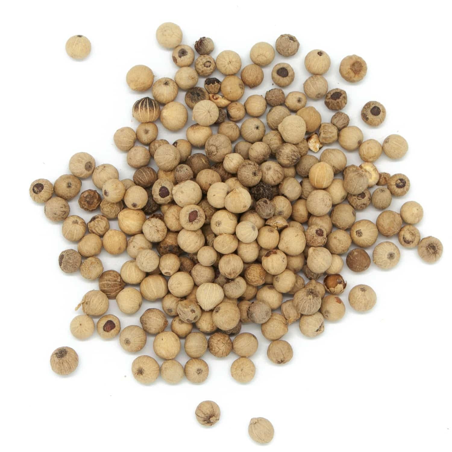 Aube-Gourmet Poivre blanc de Sarawak en sachet de 250g