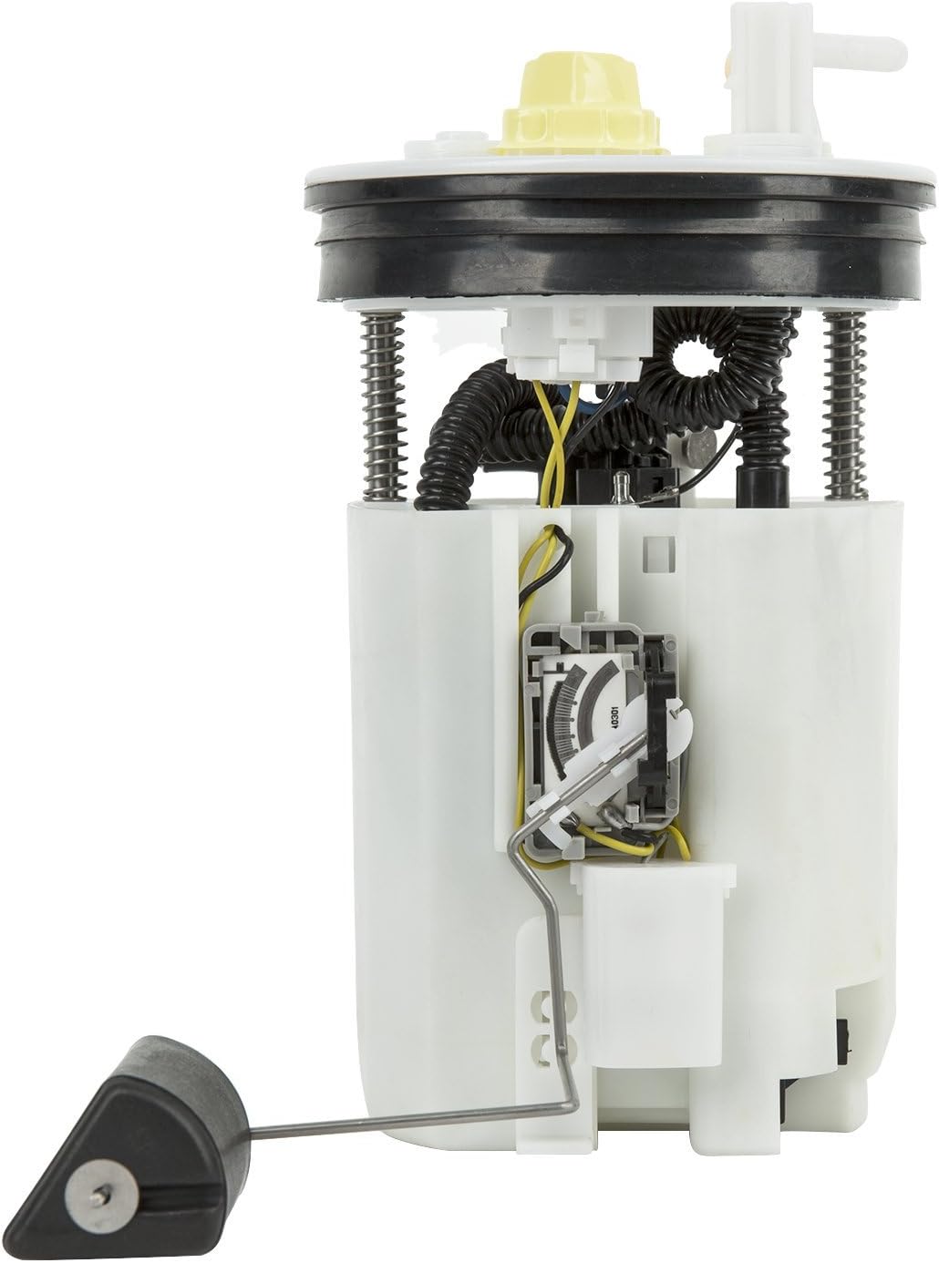 Delphi FG1124 Fuel Pump Module