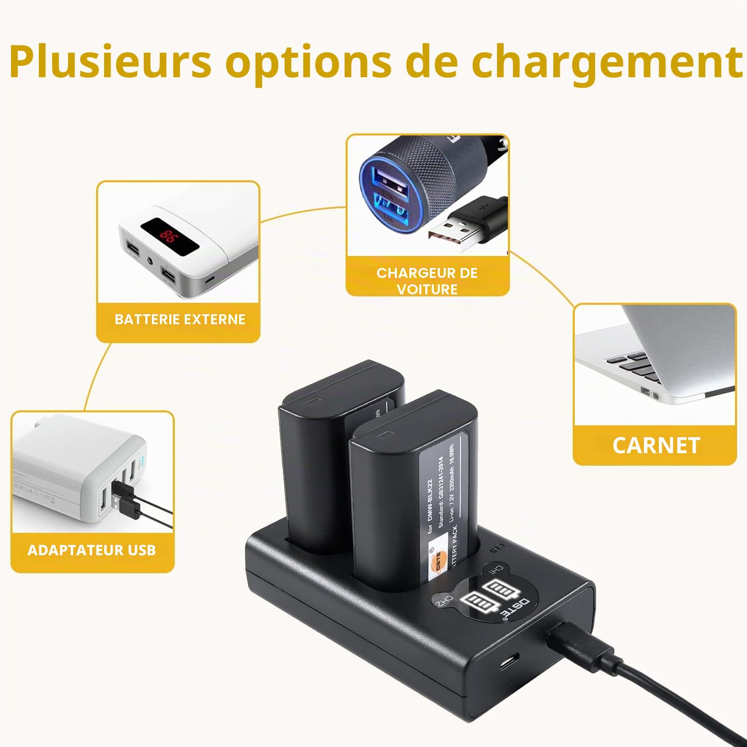 DSTE Lot de 2 batteries de rechange DMW-BLK22 + double chargeur USB avec écran LCD compatible avec Panasonic DC-S5 DC-S5KK Lumix DC S5 S5K G9 GH5 GH5 II GH5 II GH5S Lumix DC-G9 II Camera, Sigma BP-61