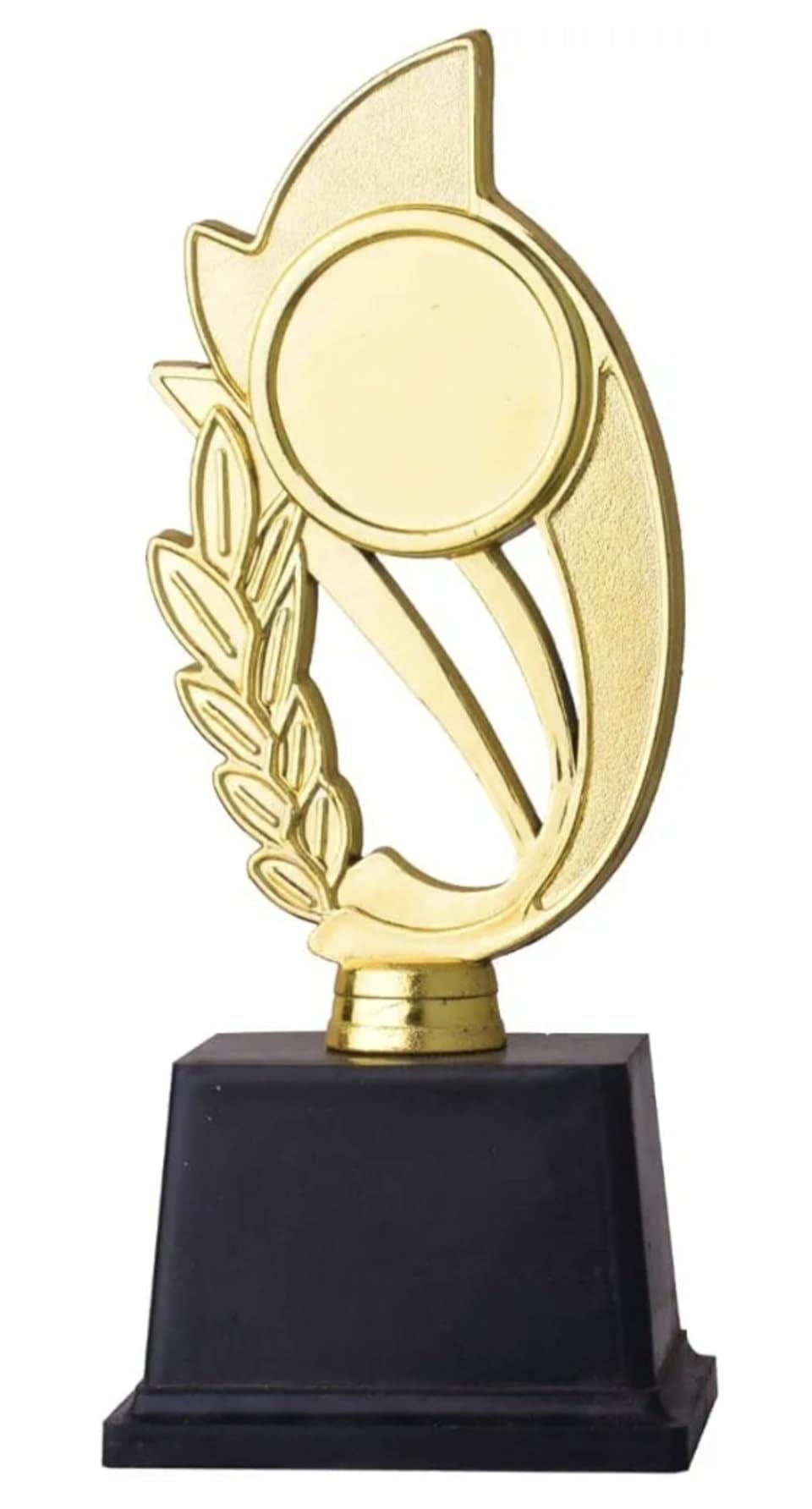 TMW 23Cm Special Award and Trophy for Students College Institute Events-picture-10
