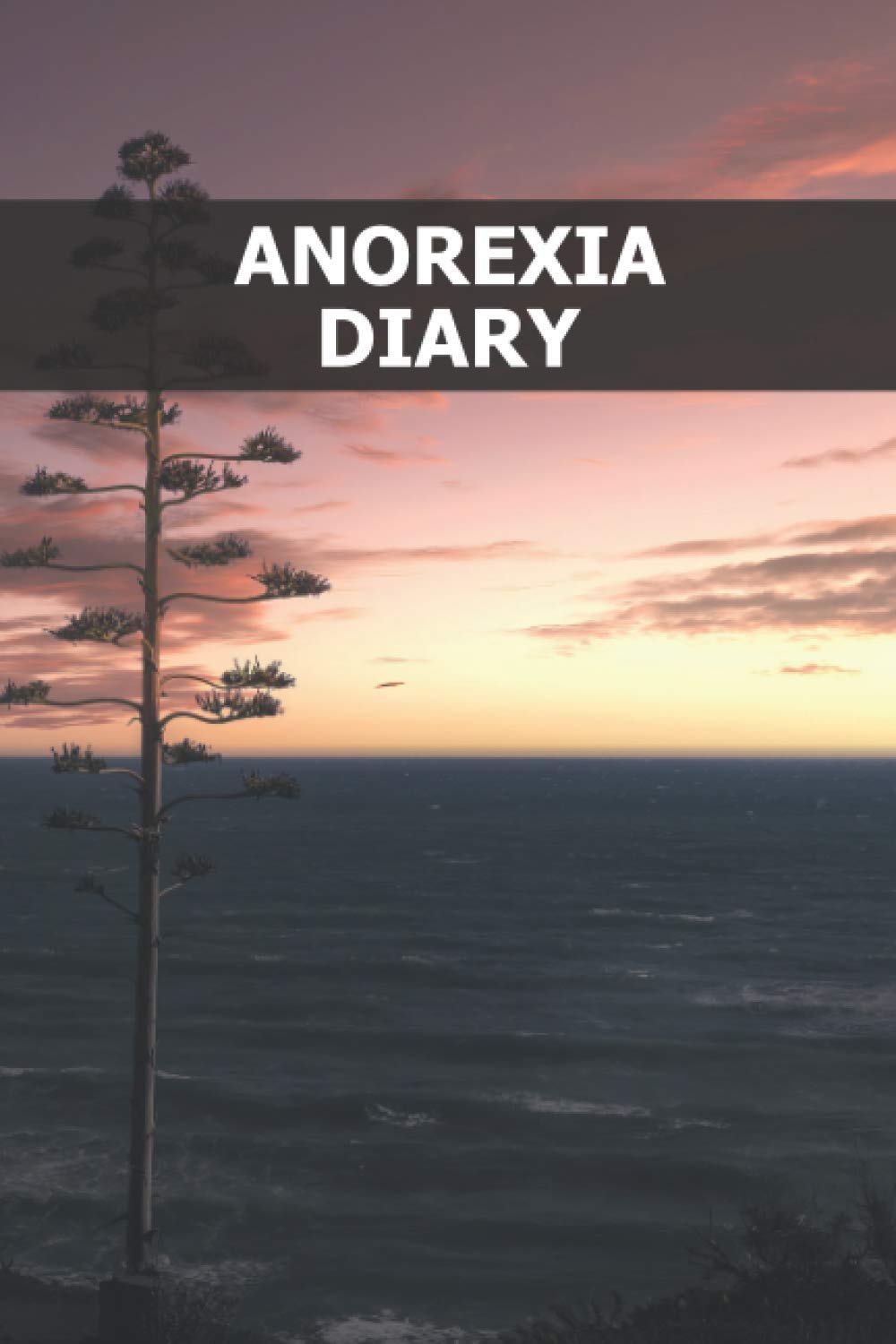 Anorexia Diary: Workbook to heal, defeat and understand - food journal - mood diary