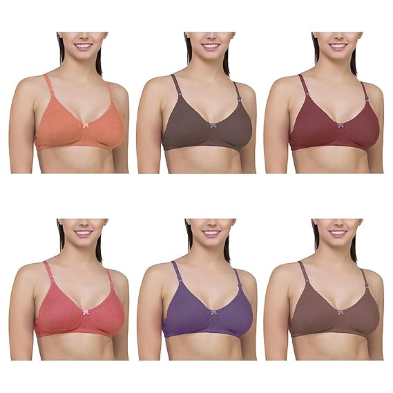 34 l bras Outlet