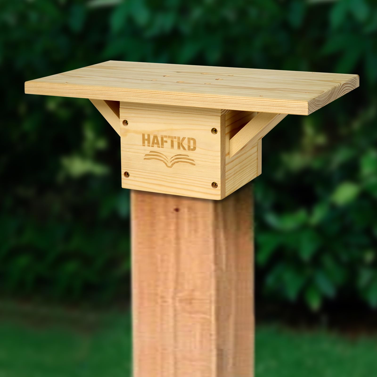 Amazon.com: HAFTKD Little Library Mount, Outdoor Library Book Box