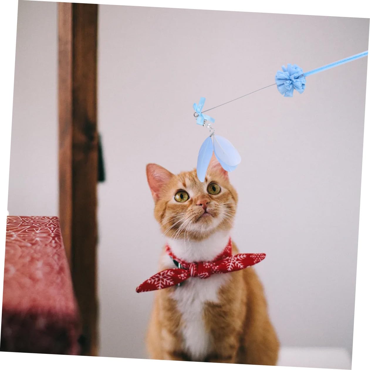 Beavorty 9pièces Jouets pour Chat avec Plumes Et Clochettes De pour Accessoires Et Amusants pour Animal