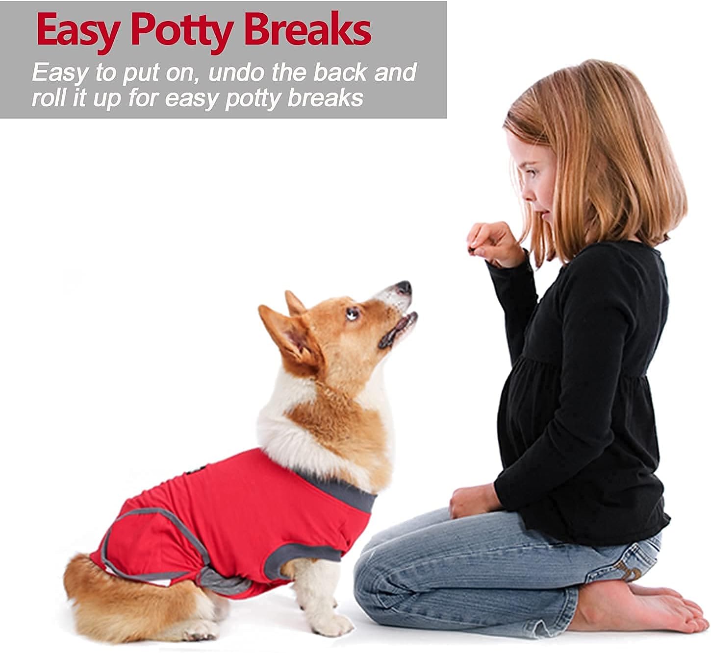 neutered dog cone alternative