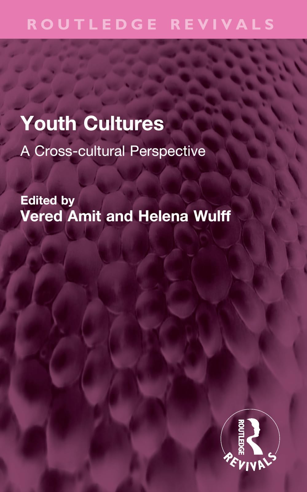 Youth Cultures: A Cross-cultural Perspective (Routledge Revivals)