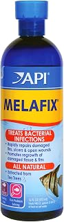 API MELAFIX Freshwater Fish Bacterial Infection Remedy - Natural Tea Tree Treatment for Fin Rot, Wounds & Infections, 16 oz
