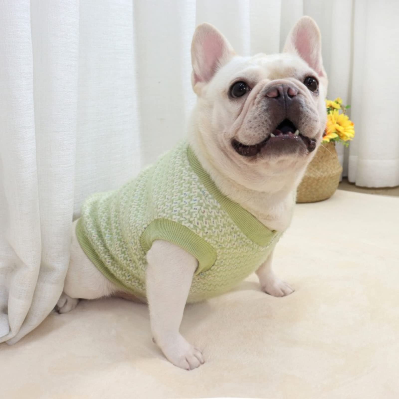 ハンドメイドフレブル服no.マスタード Amazon.co.jp: フレンチブルドッグ 服 犬 服 冬 もこもこ 暖かい