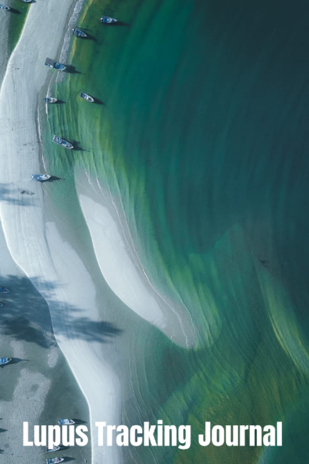 Lupus Tracking Journal / Lupus Tracking Log / Lupus Symptom Tracker Journal / 6 x 9 inch book / 100 Log Pages / Lupus Awareness Month: Lupus Tracking Journal