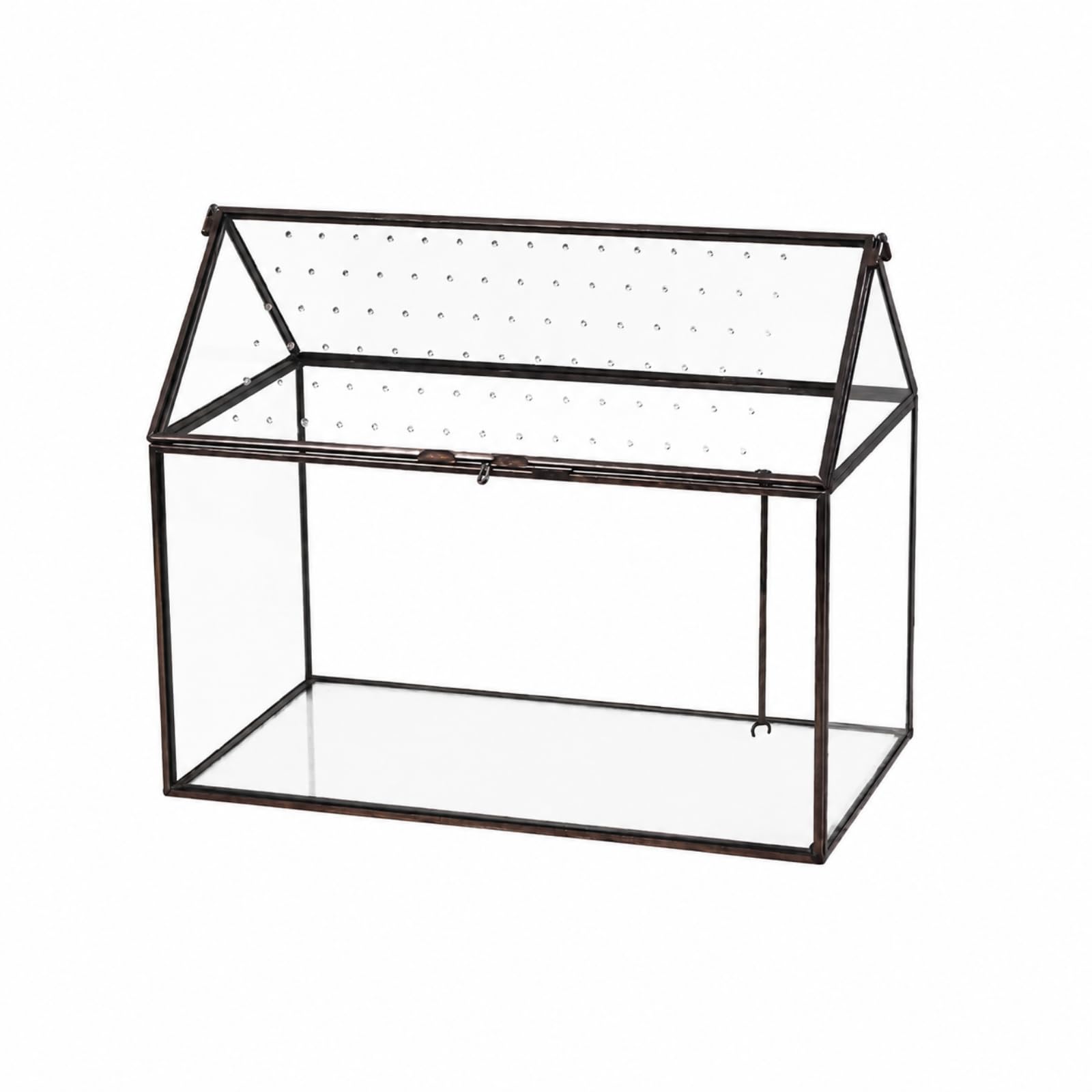 Terrario per Piante Ventilato