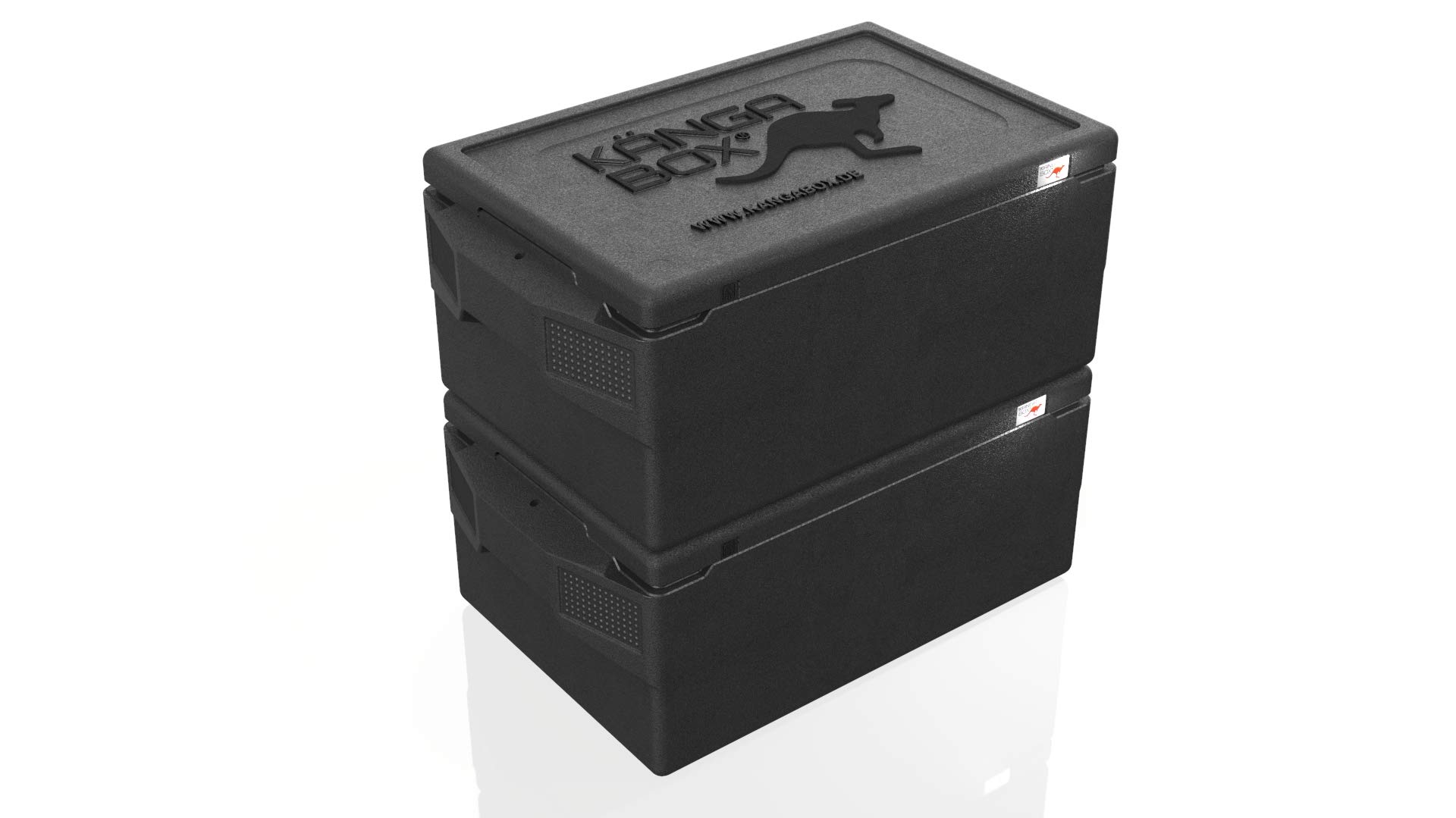 Professional GN 1/1 schwarz 48L Comfortgriff – Thermobox für Essen, Styroporbox-Alternative, Warmhaltebehälter & Kühlbox, hygienisch, temperaturbeständig von -40 °C bis +120 °C