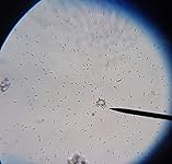 Review Image by Tahoejeepmom Tahoejeepmom