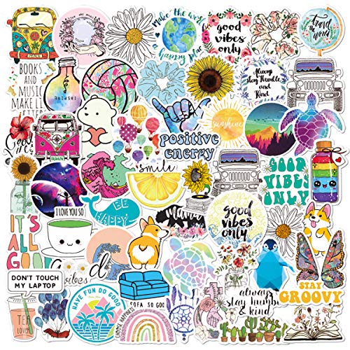 100Pcs Stickers for Hydro Flask,Water Bottles,MacBook,Laptop,Phone,Suitcase,Fridges