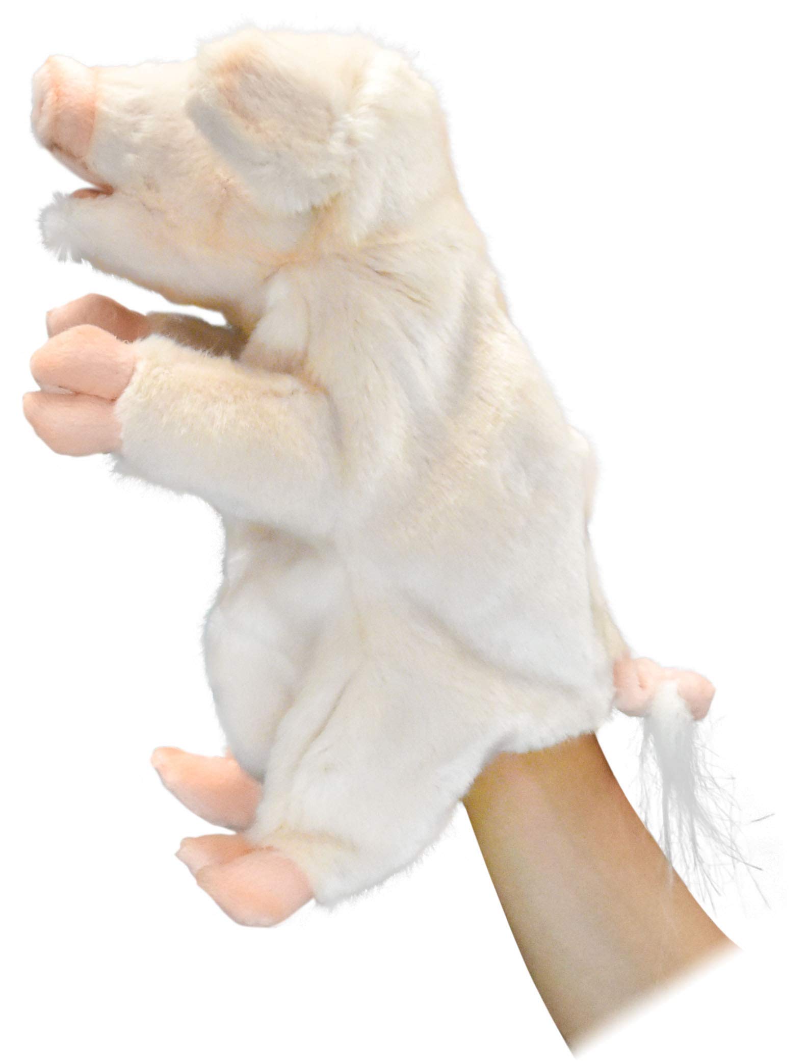 Hansa Animal