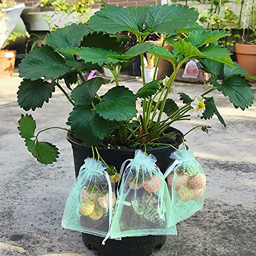 Bolsas de protección de frutas MIXC de malla con cordón para huerto 7