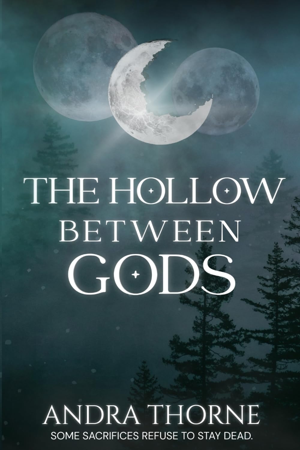 The Hollow Between Gods (The Hollow Between Gods Series)