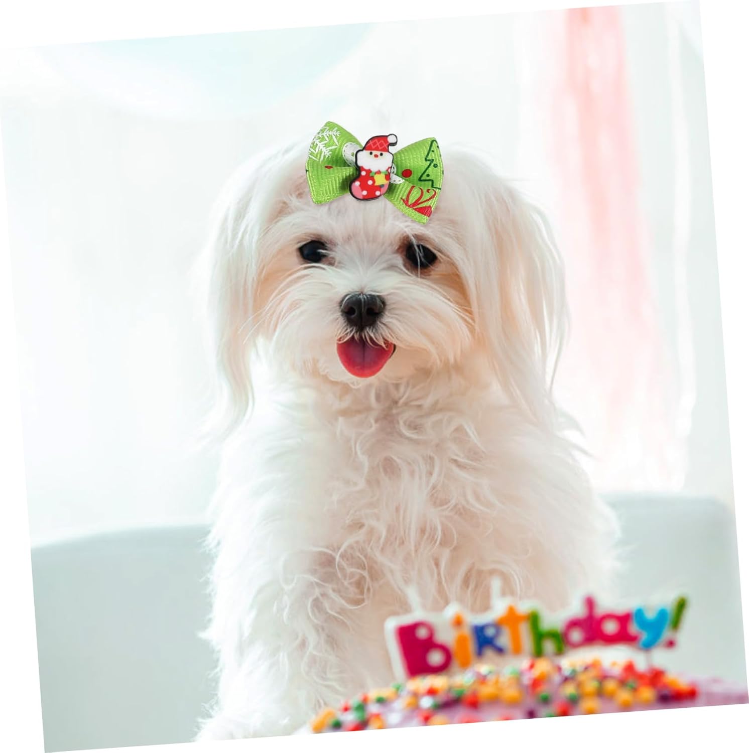 Christmas Pet Hair Ties 50 Pieces with Elastic Band Dog Hair Bows Small Holiday Accessories for Dogs and Puppies Random Design 7