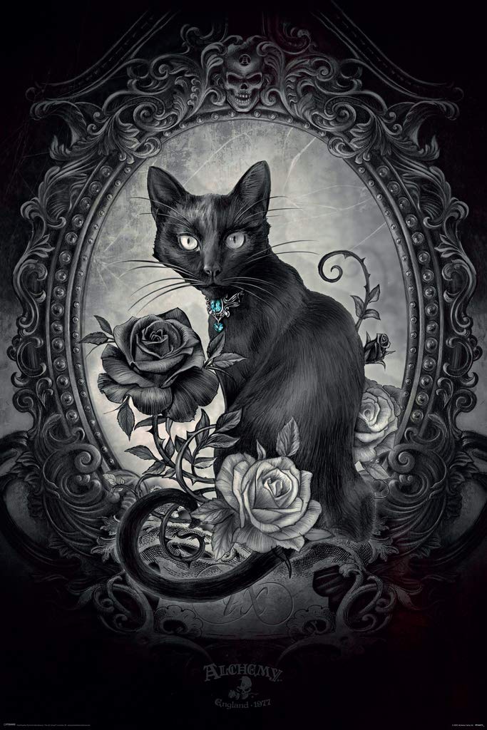 Alchemy Paracelsus Black Cat Gothic Goth Room Decor Skull Horror