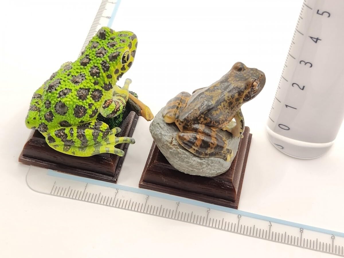 Amazon | ネイチャーテクニカラー 日本のカエル コレクション イシカワ