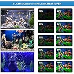 VARMHUS Tauchen Aquarium Licht,Aquarium LED Beleuchtung mit Timer Auto On/Off Dimm-Funktion,3 Lichtmodi Weiß&Blau&Weiß-Blau,10 Helligkeitsstufen optional&3Stufen der Zeitschleifenfunktion 18cm – Bild 3