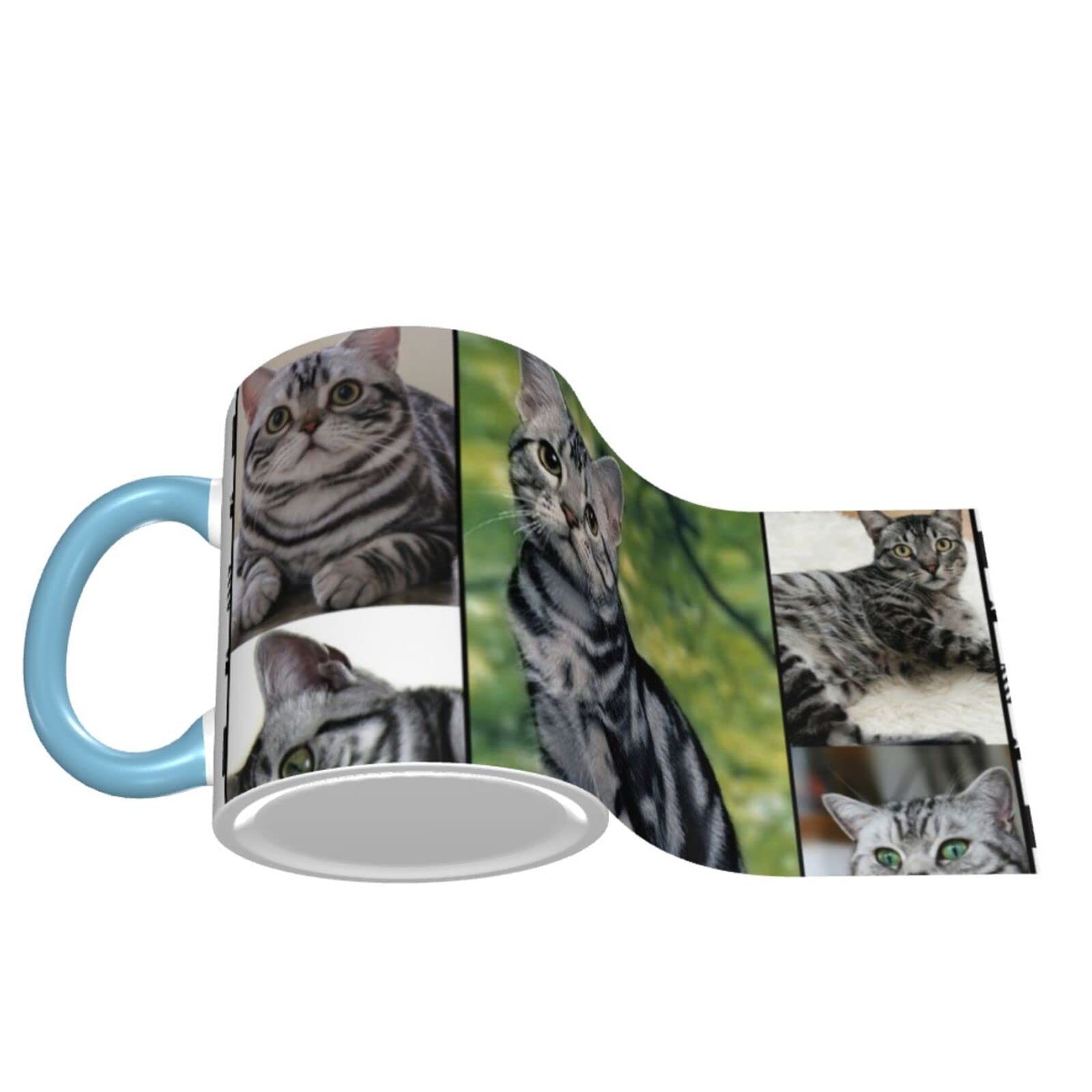 Amazon.co.jp: マグカップ アメリカンショートヘア 猫柄 かわいい 