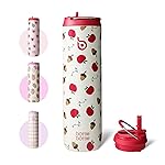 BOTTLE BOTTLE Insulated Water Bottle 24oz with Straw Lid and Handle for Sports Travel Gym Stainless Steel Water Bottles Double-Wall Vacuum Metal Leak Proof BPA-Free (Berry)