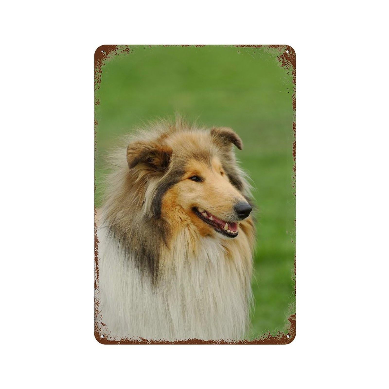 Rough Collie Vintage Metal Tin Sign 11.8"x7.9", for Garage, Bar And Workshop Decor, Novelty Wall Decor
