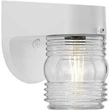 Progress Lighting Polycarbonate Outdoor 1-Light Clear Glass Traditional Outdoor Wall Light White
