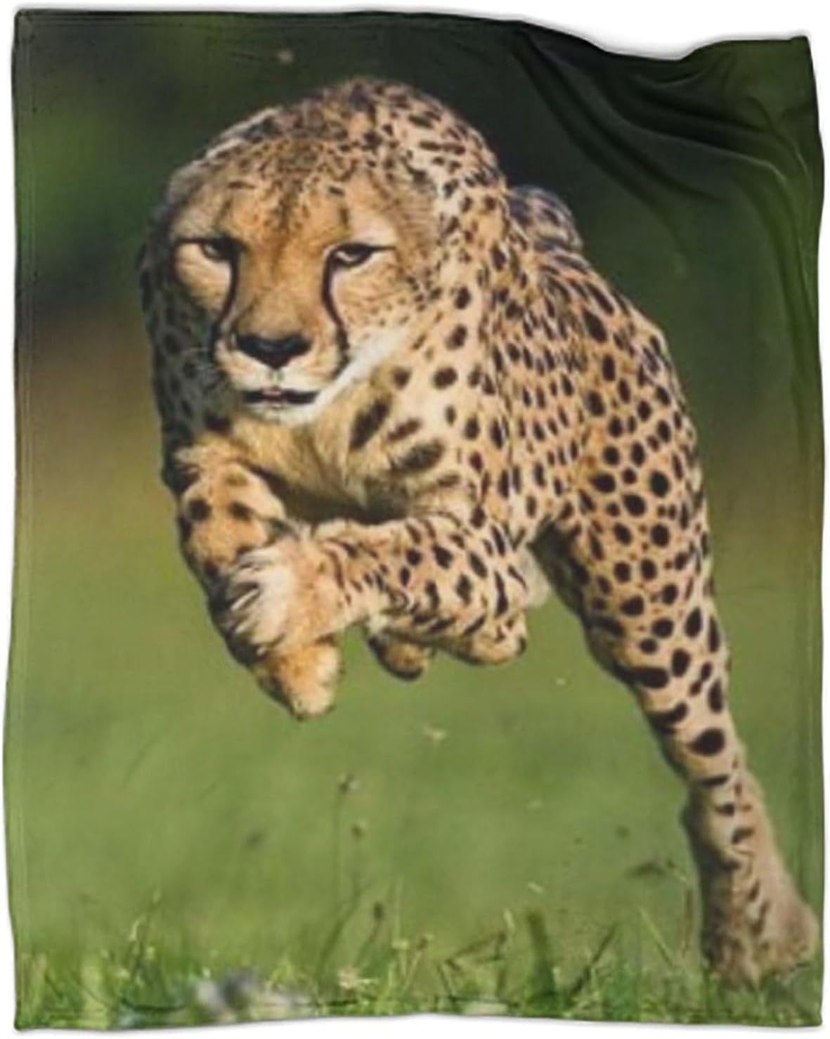 Cheetah Throw, Wild Animals Throw, Super Soft, Lightweight, Warm and