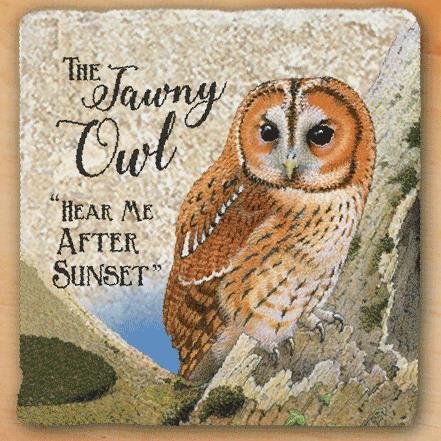 Natural Marble Coaster - British Birds - Tawny Owl