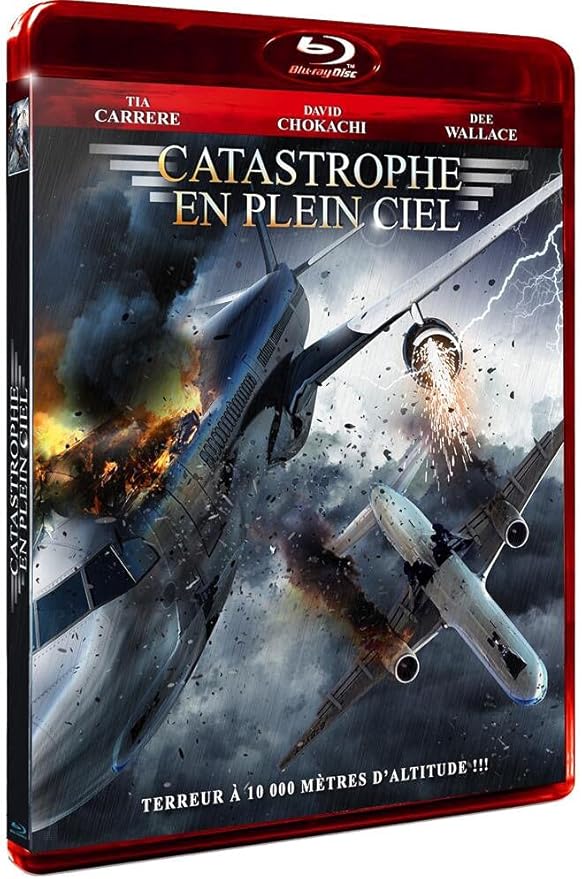 Catastrophe En Plein Ciel Catastrophe En Plein Ciel : David Chokachi, Dee Wallace-Stone, Dylan