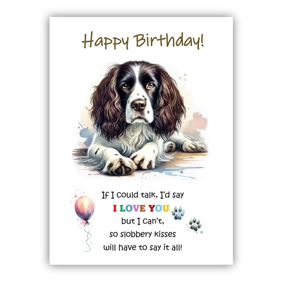 Dog Lovers Birthday Card. Springer Spaniel Birthday Card from the dog to the owner, Mum, Dad, Mummy, Daddy, Mother, Father. (Springer Spaniel 2)