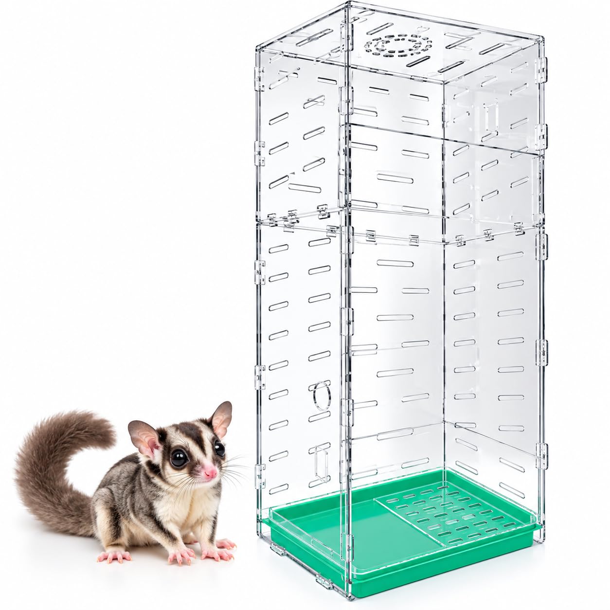 Amazon | HaNaRuNa アクリルケージ 小動物 フクロモモンガ ケージ 透明
