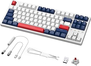 MAMBASNAKE K87 TKL Hot Swappable Wireless Mechanical Gaming Keyboard with Custom Coiled USB C Cable,Triple Mode 2.4Ghz/Bluetooth 5.0/Wired, Red Switches 20 RGB Backlit 3000mAh Battery for PC Laptop