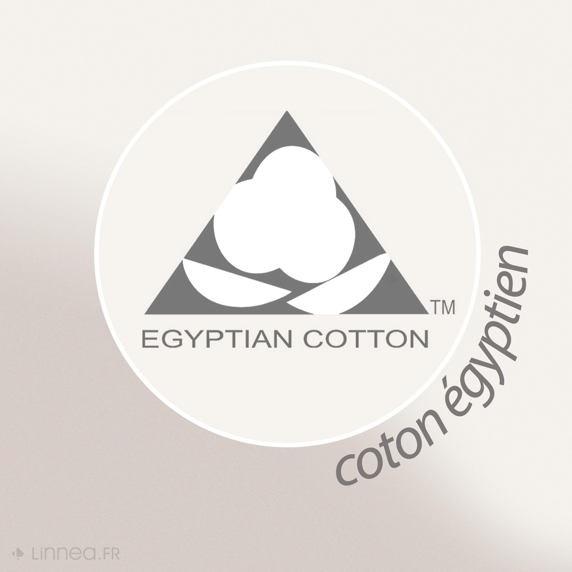 Gant De Toilette 16x21 Cm JULIET Anthracite 520 G/m2 - Www