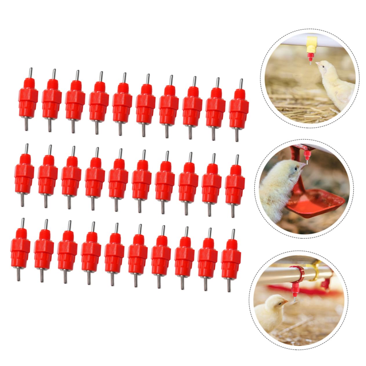 Mikikit Plastic Metal Chicken Watering System Automatic Nipple Feeder for Birds