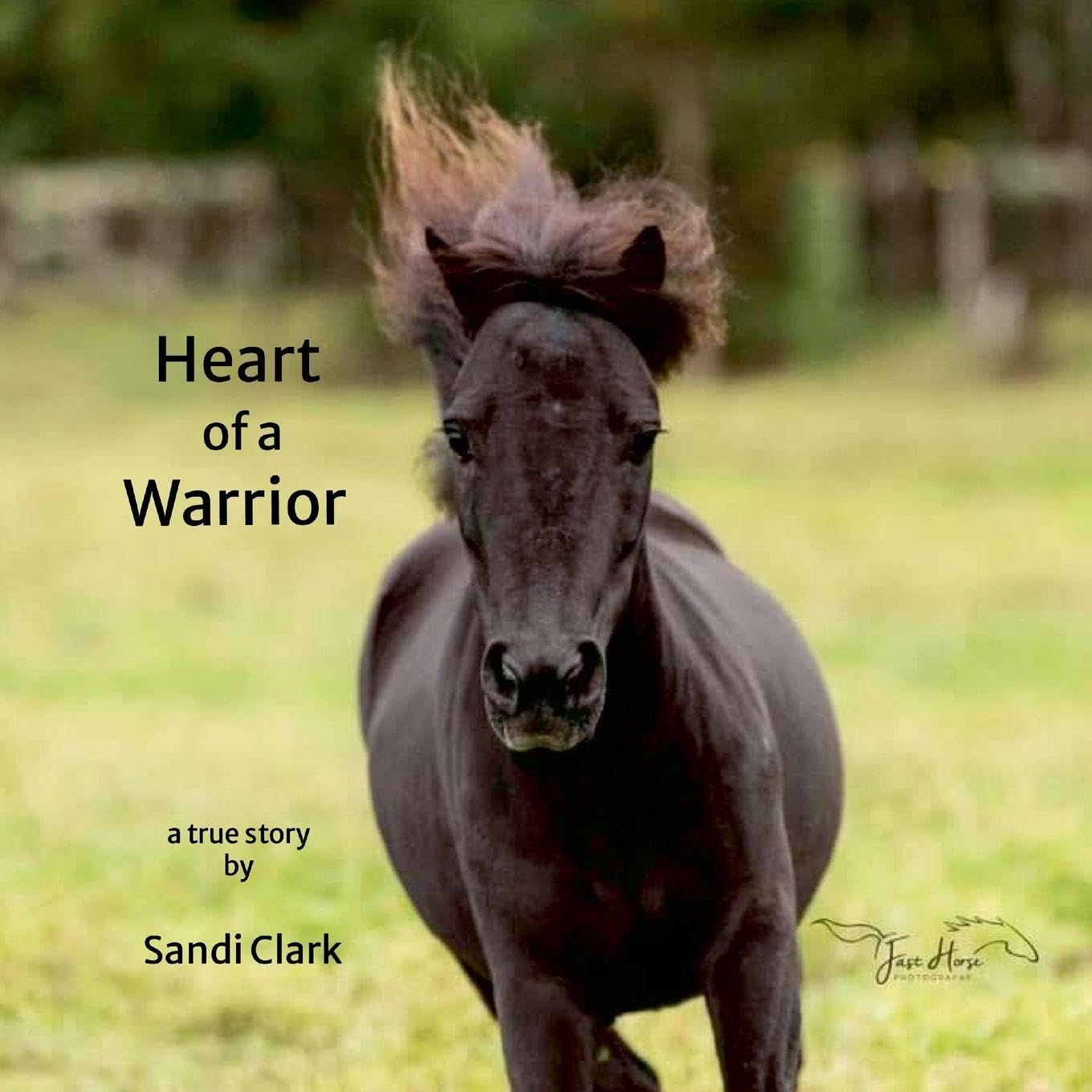 Heart of a Warrior: a true story