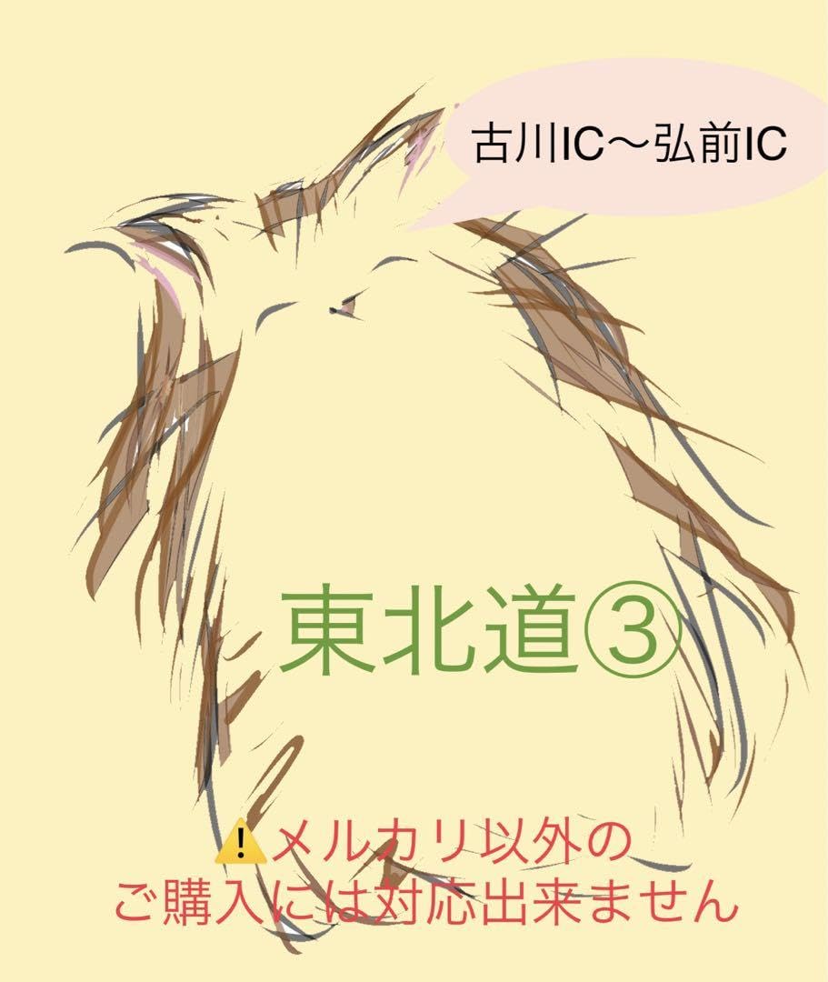 バスガイド資料・テキスト・教本【都内一般道①】 Amazon.co.jp: バスガイド資料テキスト教本東北自動車道③