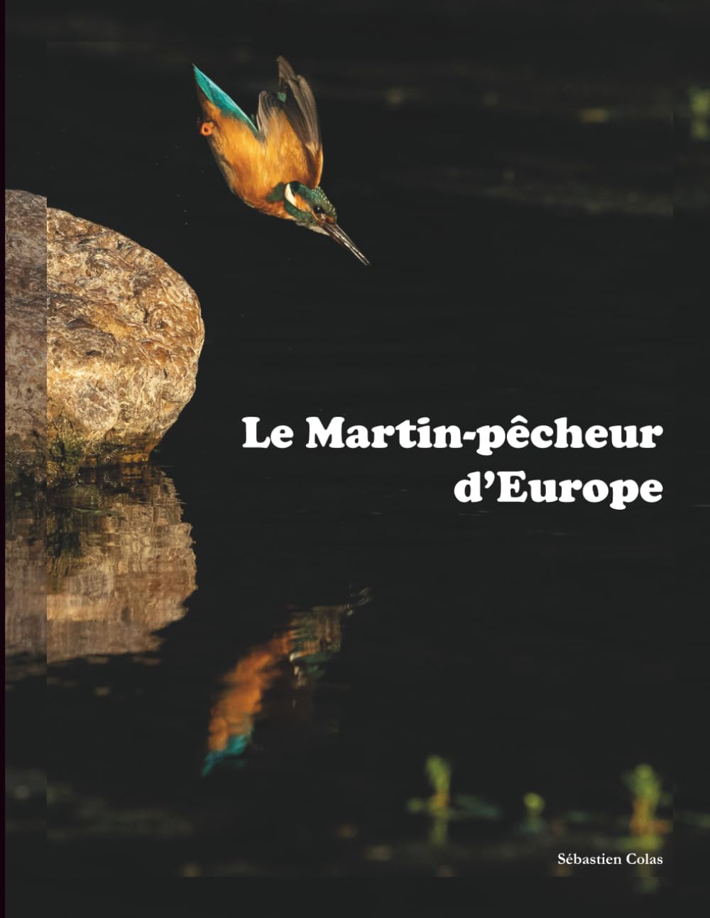 Le Martin-pêcheur d'Europe: Recueil de photographies (Photos nature)