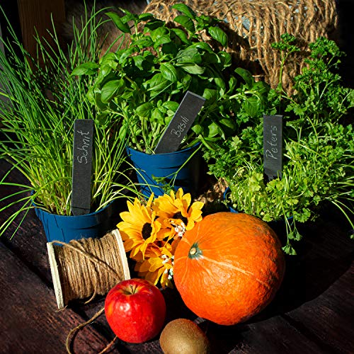 Amazy Schiefer Pflanzenschilder Set L (10 Stück) inkl. Kreidestift zum Beschriften – Der rostfreie Gartenstecker – Für individuelles Kennzeichnen von Pflanzen und Kräutern Plus Juteband (20 x 3 cm)