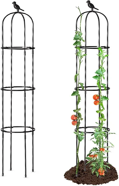 FOLLOOK Garden Trellis for Climbing Plant Outdoor, 67" Tall Round Cucumber Trellis Plant Supports for Vines Flower Climbing Rose Clematis Vegetable Tomato Trellis, 1PC, Black