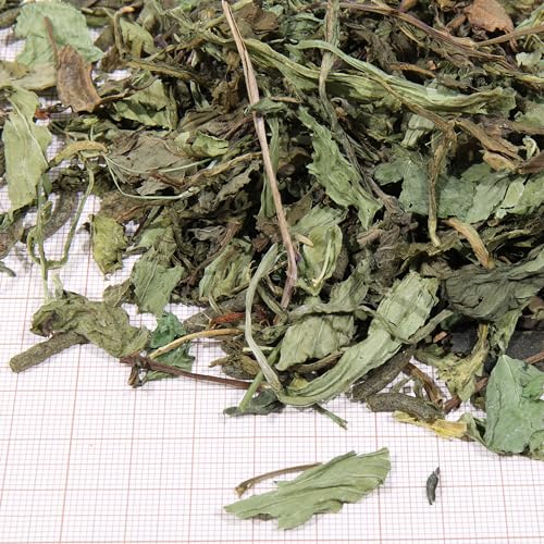 JBL Proterra HERBIL 1 Kiter Hauptfutter mit Kräutern für alle Landschildkröten