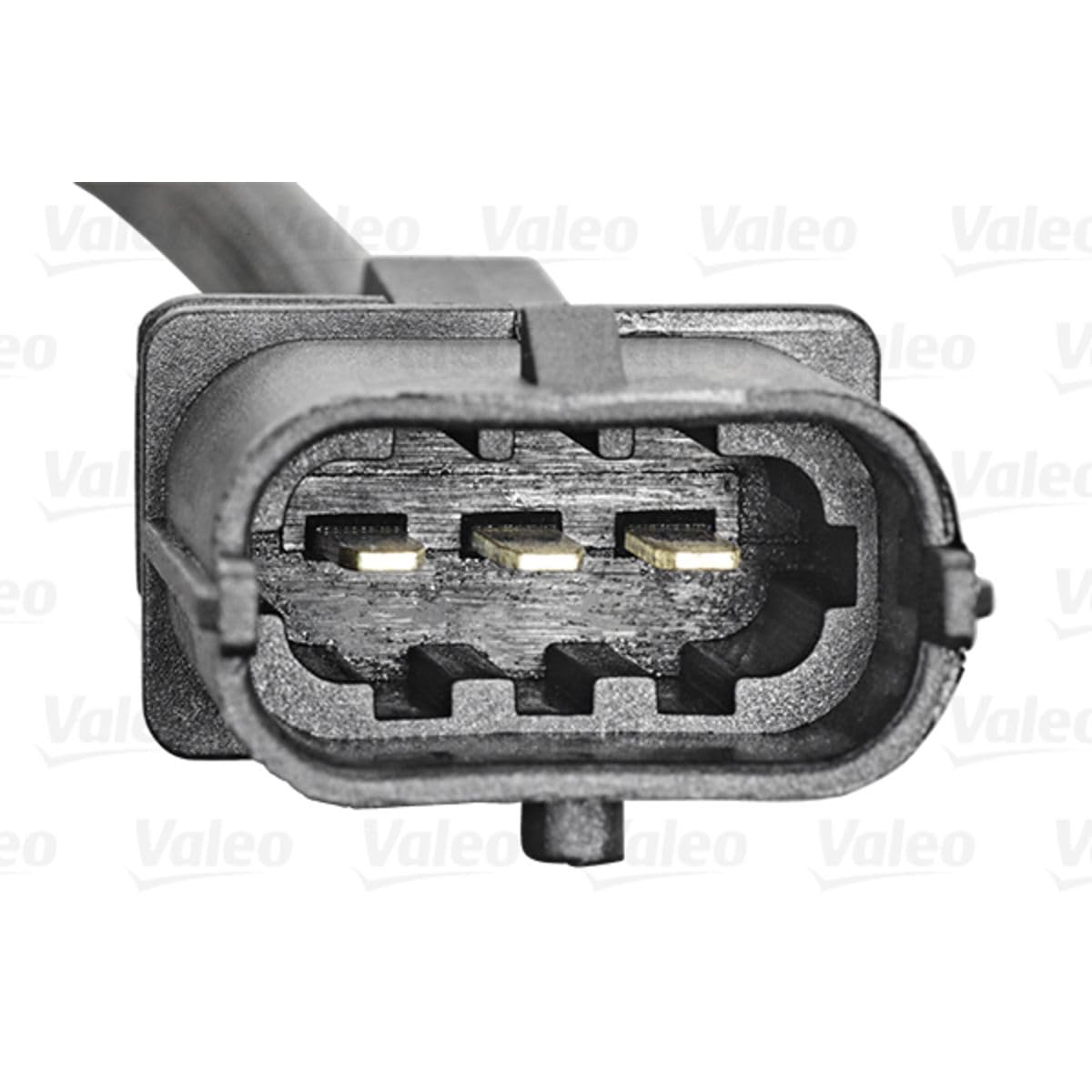 Valeo Capteur, Position d'Arbre à Cames 253812 | Compatible avec: ALFA ROMEO 145, 146, 147, 156, 156 Sportwagon, 159, 159 Sportwagon, 166, GT, FIAT BRAVA, BRAVO I, BRAVO II