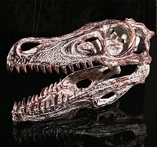 LQK- High precision resin crafts handmade dinosaur skull models display model gray , skeleton head -147